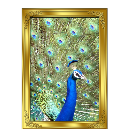12X16 Frame