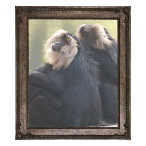 16X20 Frame
